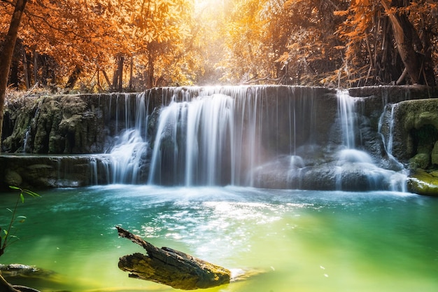 Outono de cachoeira na floresta tropical