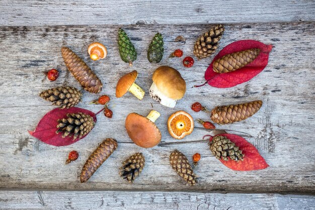 Outono decorativo ainda vida com cogumelos, folhas, cones. Postura plana, vista superior