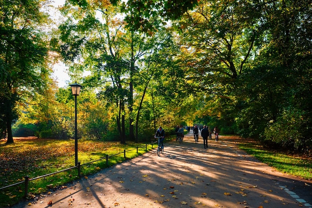 Outono dourado outono outubro no famoso parque público de munique englishgarten munchen bavaria alemanha