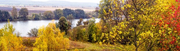 Outono dourado. Paisagem de outono com plantas coloridas à beira do rio, panorama