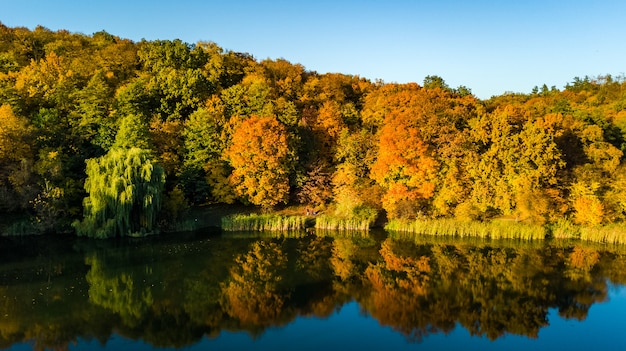 Outono dourado, vista aérea da floresta com árvores amarelas e paisagem do lago de cima