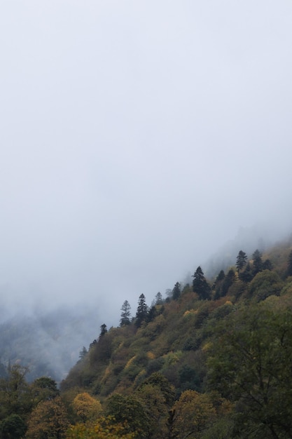 Outono e neblina na foto vertical das montanhas papel de parede da foto com espaço de vista para a montanha para texto