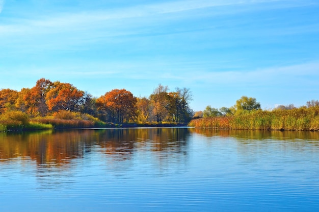 Outono na costa perto da água árvores de outono de cores brilhantes refletidas no foco seletivo da água