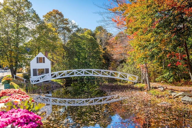 Outono na paisagem de Maine, nos EUA