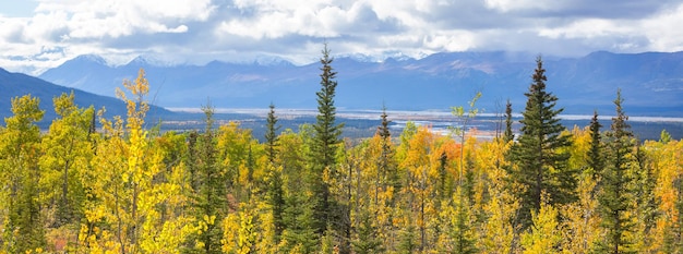 Foto outono no canadá