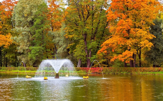 Outono no Parque do Palácio em Peterhof, São Petersburgo, Rússia