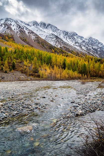 Outono no Vale do Rio Aktru. Cume Severo-Chuysky, Altai, Rússia