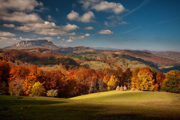 Outono paisagem montanhosa - árvores de outono amareladas e avermelhadas combinadas com agulhas verdes e céu azul. Cena de paisagem de outono colorida nos Cárpatos romenos. Vista panorâmica.