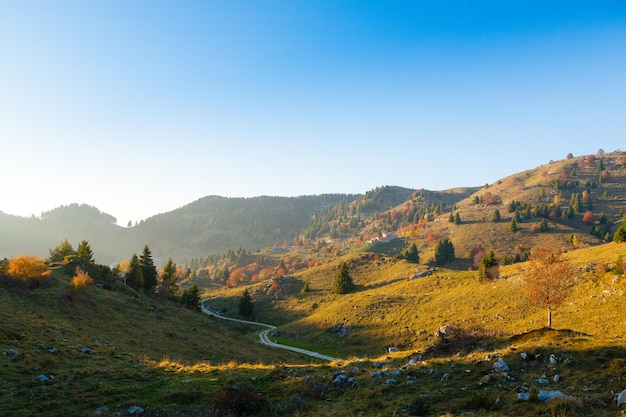 Outono paisagem montanhosa. Estrada de terra em perspectiva. Montanha Grappa, Alpes italianos