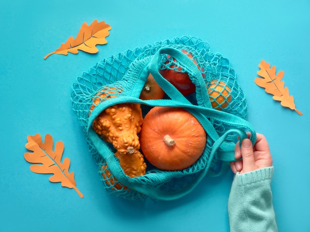 Outono plana leiga com mão feminina segurando saco de turquesa com abóboras laranja em papel azul hortelã