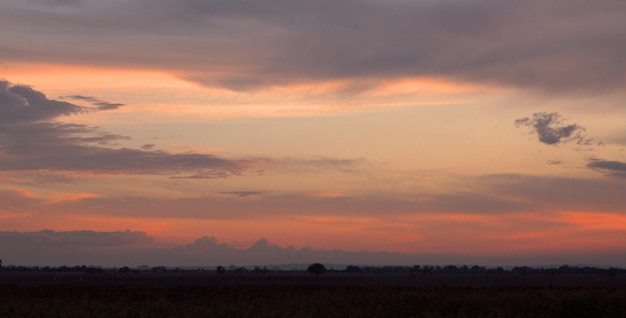 Outono rosa pôr do sol lindo céu alto paisagem noturna de um campo sem fim região de Krasnodar Rússia