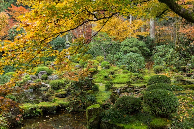 Outono templo japonês