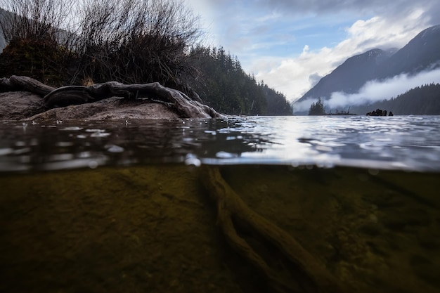 Over and Under imagem de uma paisagem natural no Lago Buntzen