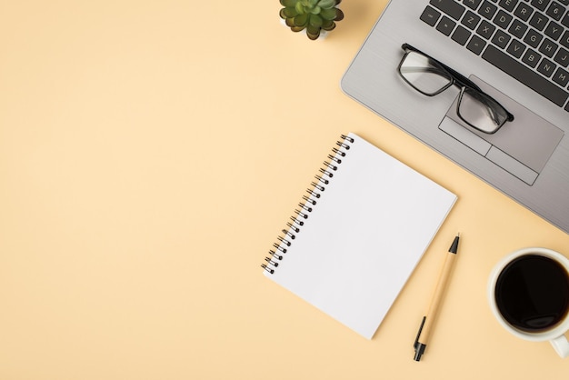 Overhead-Foto einer grauen Laptop-Notebook-Stiftbrillenpflanze und einer Tasse Kaffee isoliert auf dem beigen Hintergrund mit leerem Raum