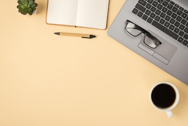 Overhead-Foto einer grauen Laptop-Notebook-Stiftbrillenpflanze und einer Tasse Kaffee isoliert auf dem beigen Hintergrund mit Leerzeichen