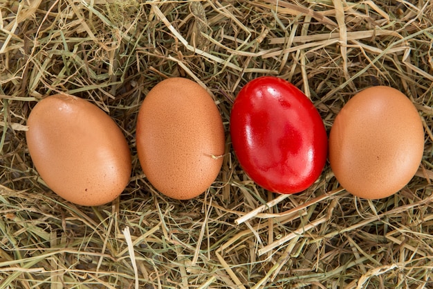 Ovo vermelho na palha com planície