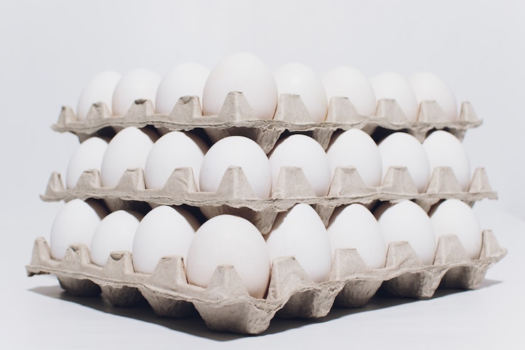 Foto ovos brancos de galinha em embalagem de papelão inofensiva