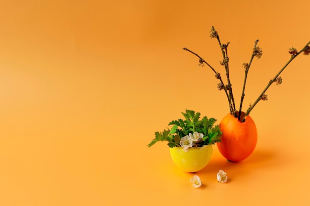 Ovos coloridos com grama verde primavera e galho de árvore florida em um fundo laranja Tradições familiares de férias de Páscoa