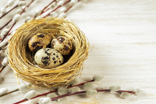 Ovos de codorna da Páscoa em ninho de palha e galho de salgueiro com prateado macio e fofo