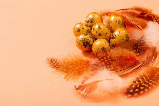 Ovos de codorna dourados de Páscoa em fundo pastel