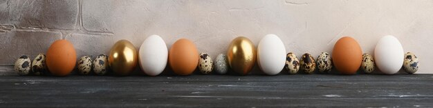 Ovos de codorna e frango diferentes em tamanho e cor ficam em fila contra uma parede cinza envelhecida banner