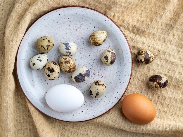 Ovos de codorna e galinha no prato, produto ecológico, comida saudável