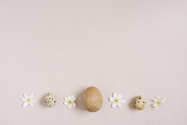 Ovos de codorna elegantes de páscoa em um fundo bege com flores brancas de primavera Cartão de feliz páscoa Copiar espaço