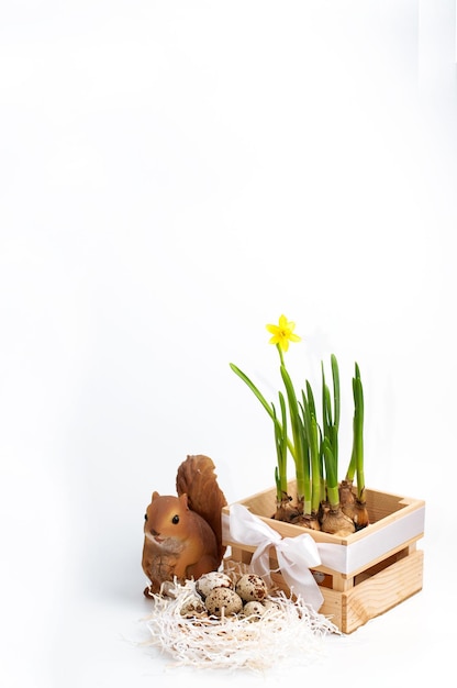 Ovos de codorna em recheio de papel ao lado de uma estatueta de esquilo e uma caixa de madeira com flores frescas de narciso