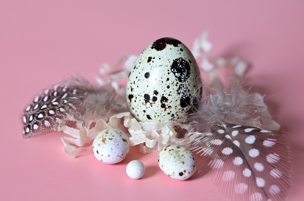 ovos de codorna em um fundo claro emoldurado por penas de codorna