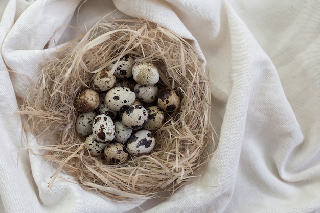 Ovos de codorna em um ninho de palha em tecido de linho