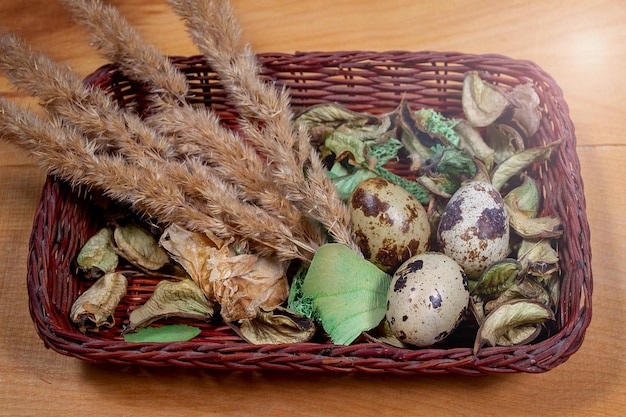 Ovos de codorna em uma cesta de feno de páscoa