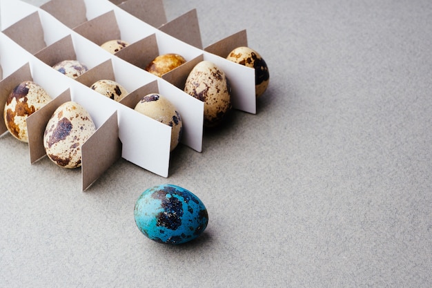 Foto ovos de codorna em uma grade e um ovo de páscoa pintado em um fundo cinza. conceito criativo da páscoa, copie o espaço. preparação tradicional para a páscoa.