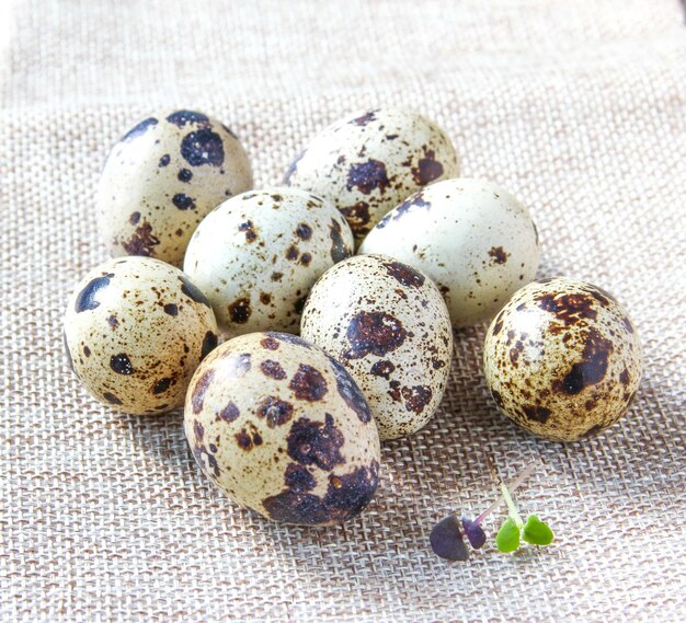 Ovos de codorna frescos no fundo rústico Gema de ovo cru closeup Conceito de comida saudável