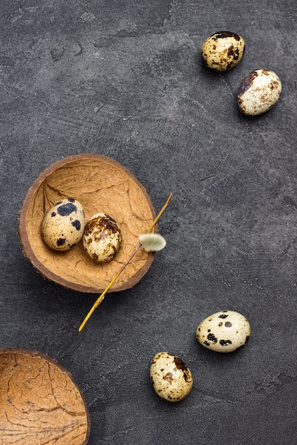 Ovos de codorna na mesa. Dois ovos com casca de coco. Postura plana. Copie o espaço