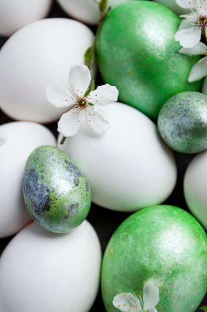 Ovos de férias de páscoa e flores de cerejeira branca, ovos de galinha e codorna de cor branca e verde foto conceitual