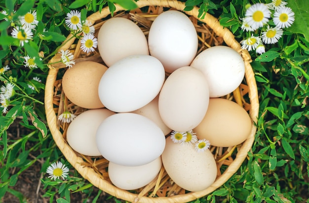 Ovos de galinha caseiros em uma cesta