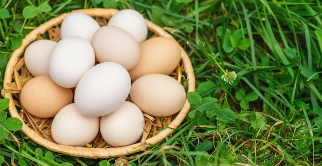 Ovos de galinha caseiros em uma cesta