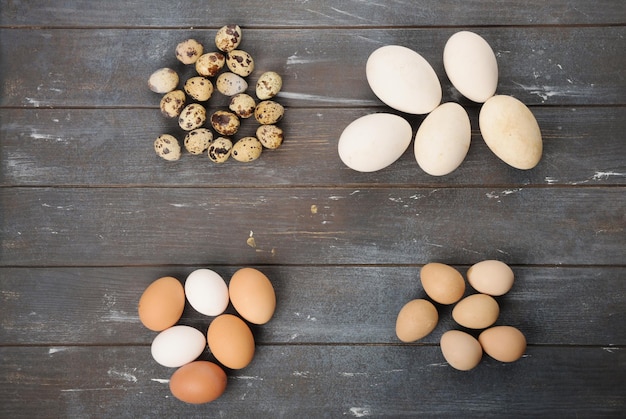 Ovos de galinha de codorna e galinha-d'angola de diferentes tamanhos e cores