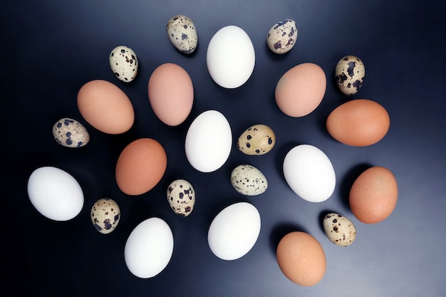 Ovos de galinha diferentes repousam aleatoriamente na superfície azul escura