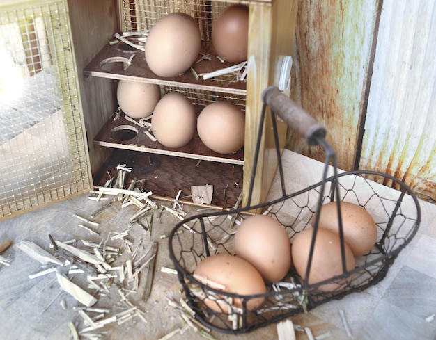 ovos de galinha em uma pequena cesta de metal na frente de uma caixa de ovos aberta em fundo de madeira