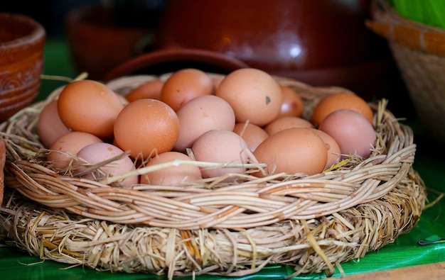 Ovos de galinha fresca com ninho