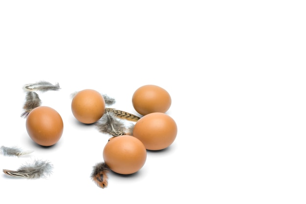 Ovos de galinha marrom e penas isoladas no fundo branco