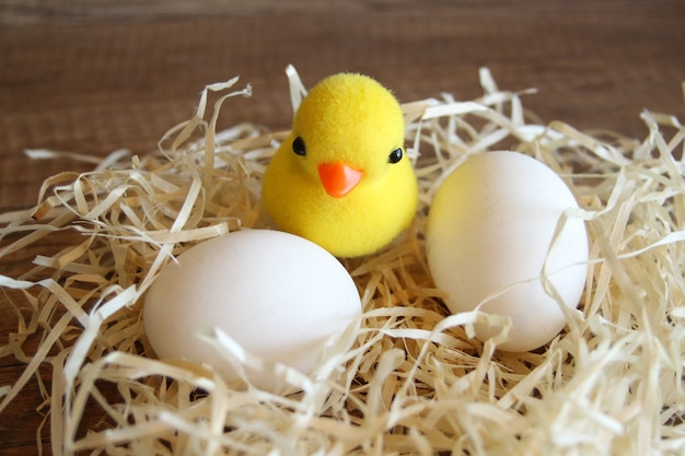Ovos de galinha no ninho Os pássaros fazem ninhos com uma ninhada de ovos. Frango no ninho com ovos brancos Pintinho