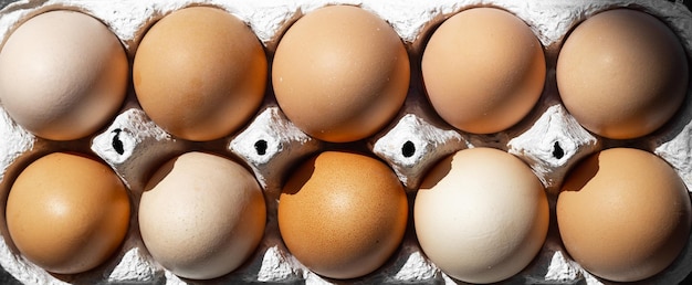 Ovos de galinha orgânica em fundo escuro de madeira com espaço de cópia