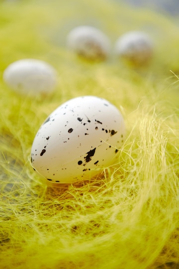 Ovos de páscoa brancos com sardas colocadas no feno amarelo tiro