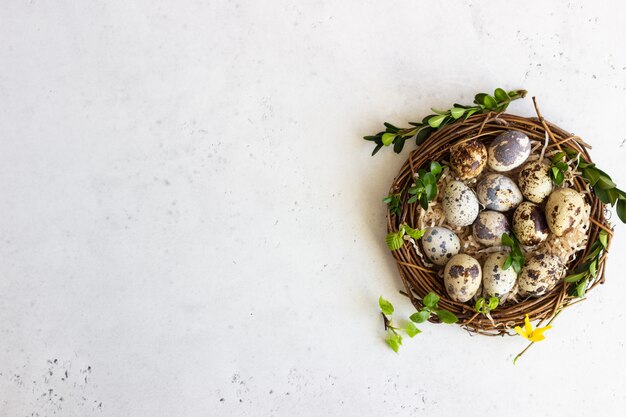 Ovos de Páscoa codorna com verde primavera deixa no ninho.