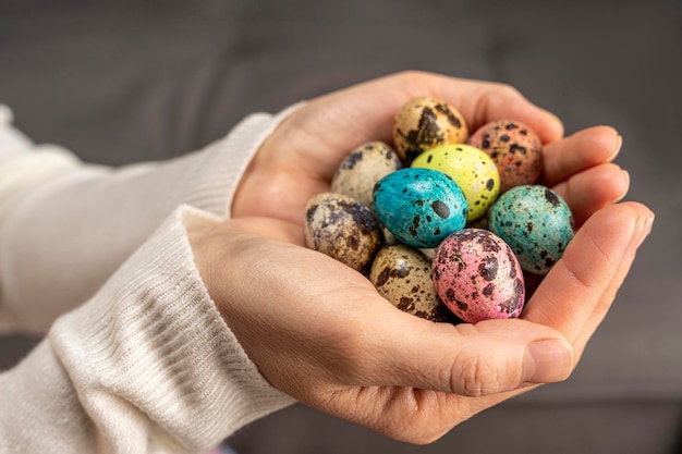 Ovos de páscoa coloridos em ovos de codorna de mãos de mulheres