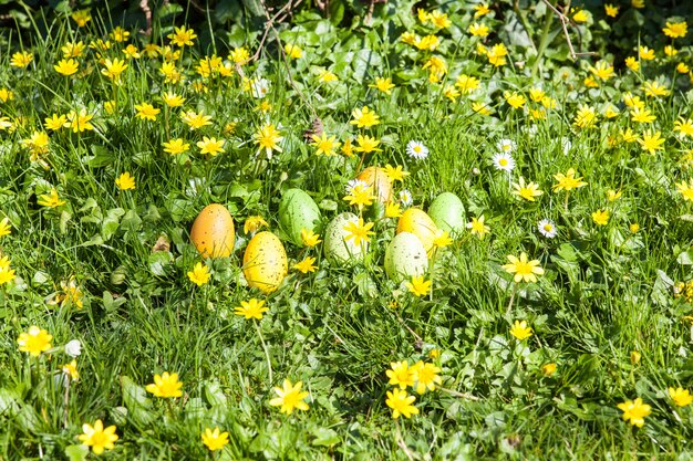 Ovos de Páscoa coloridos, escondidos em flores e grama