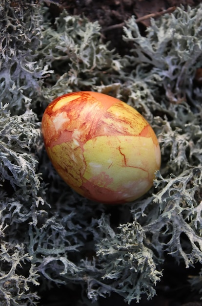 Ovos de páscoa coloridos no musgo na floresta