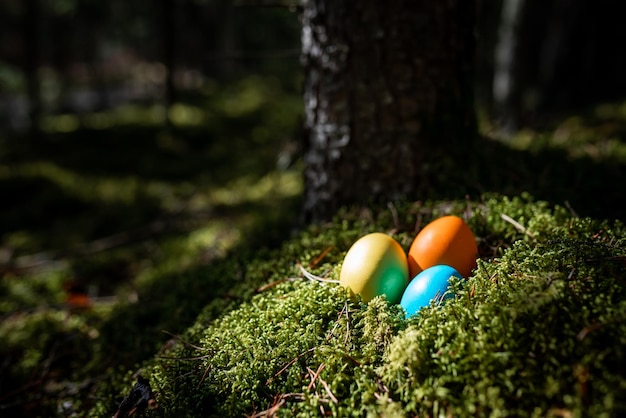 Ovos de páscoa coloridos sobre fundo natural de musgo verde na floresta